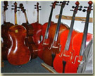 cellos